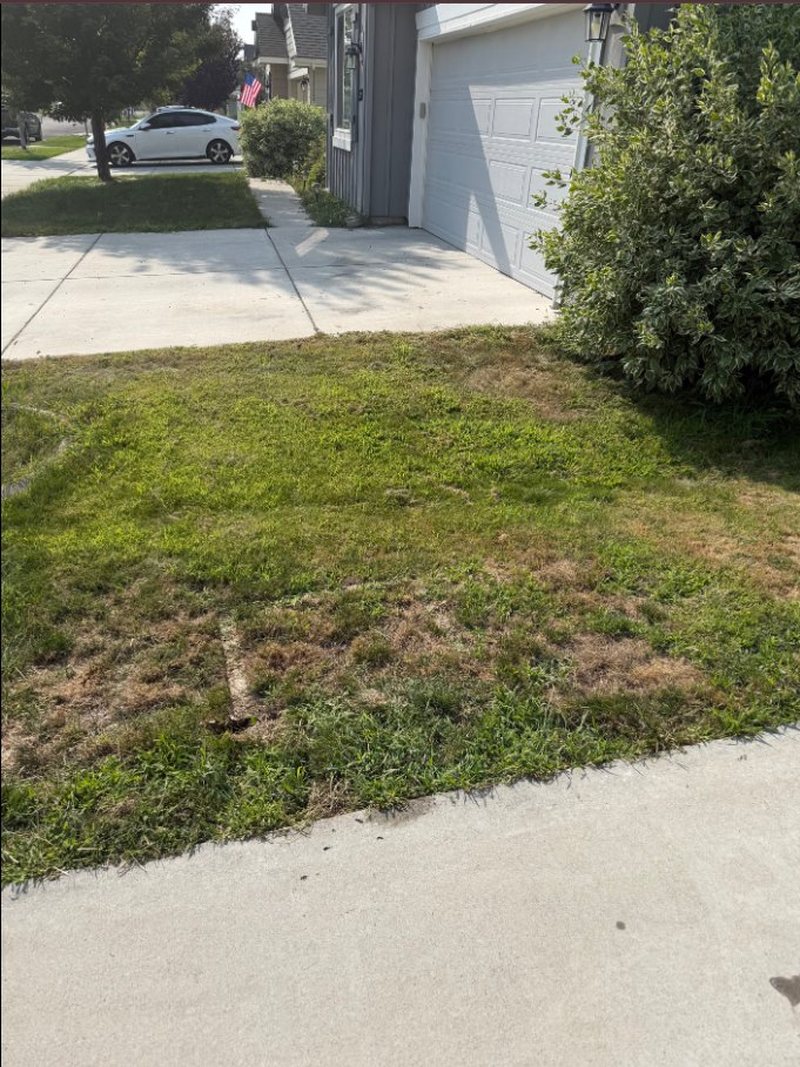 The same Meridian front lawn with the dryer removed, showing only flattened grass where it stood